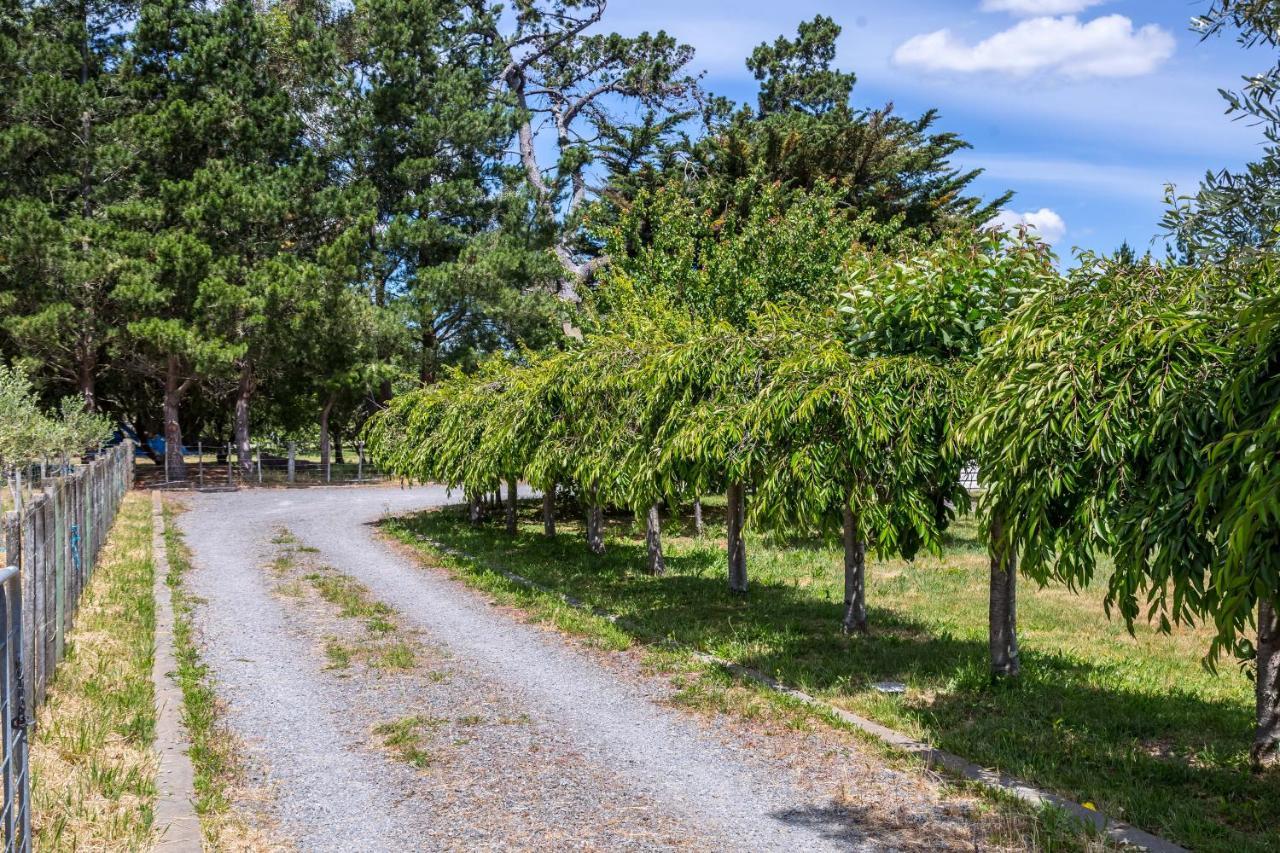 Brooklands Cottage The Award Winning Villa Martinborough Esterno foto
